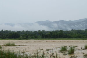 Kerala Rains