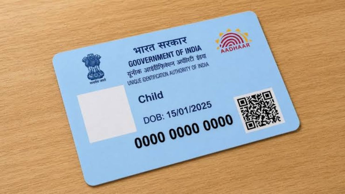 Blue vs White Aadhaar Card